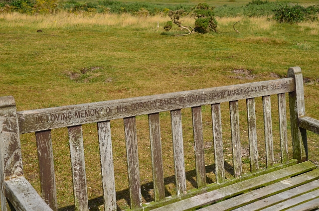 22 08 12_4867.JPG - STANDPIT MARSH - NEXT TO CHRISTCHURCH - TRIBUTE TO DOROTHY BAKER WHO SAVED THE MARSH FROM DEVELOPMENT